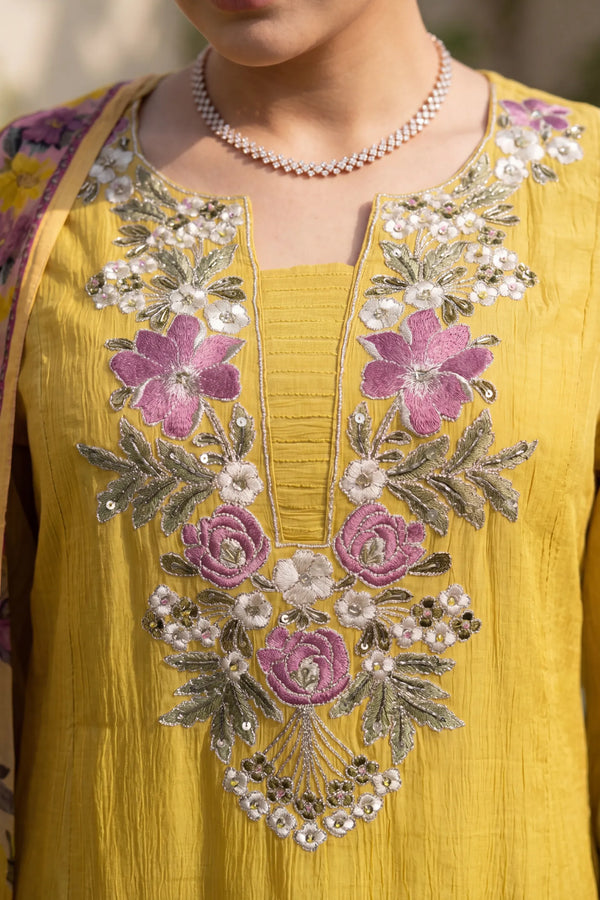 Honeydew Embroidered Suit Set