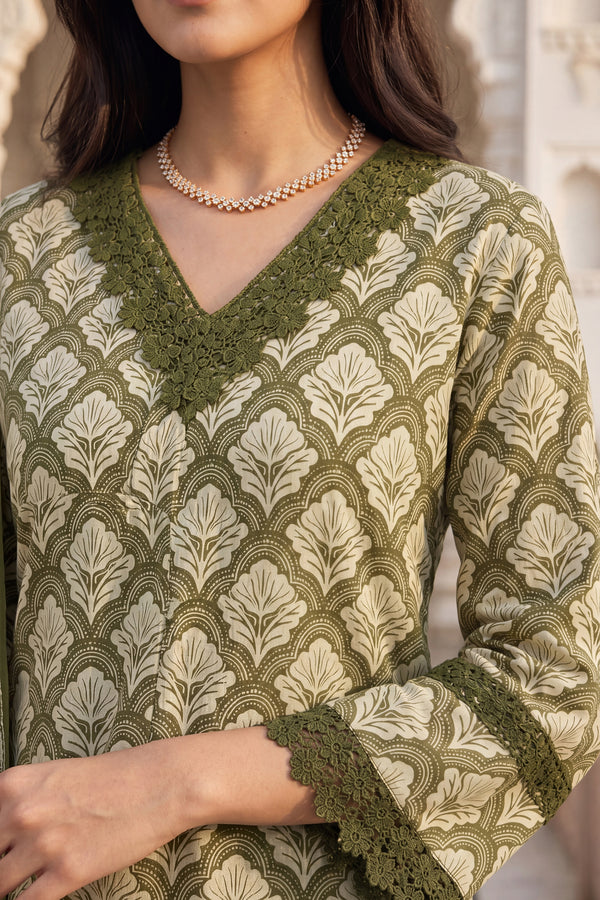 Olive Noor Farshi Set