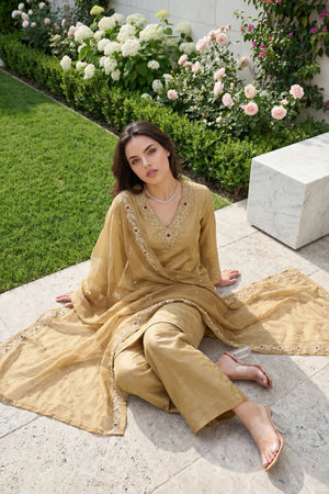Golden Shimmer Suit Set