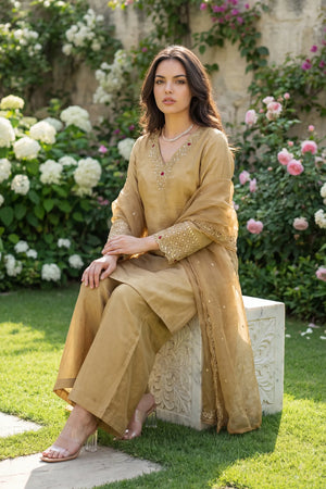 Golden Shimmer Suit Set